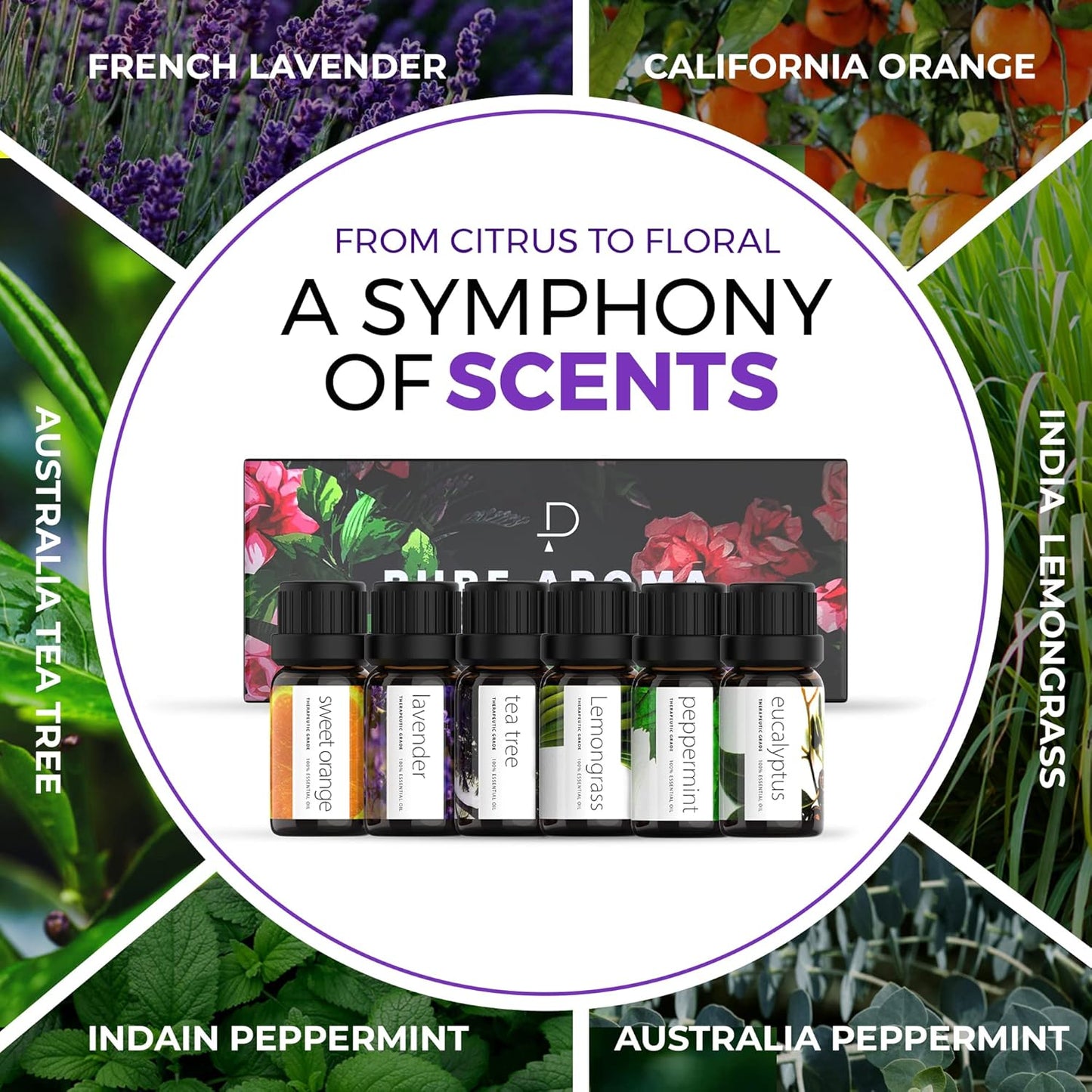 Essential Oils Set by - Top 6 Aromatherapy Oils Gift Set-6 Pack, 10Ml (Eucalyptus, Lavender, Lemongrass, Sweet Orange, Peppermint, Tea Tree)